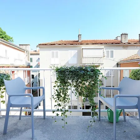 Tinel Premium Edition B&B